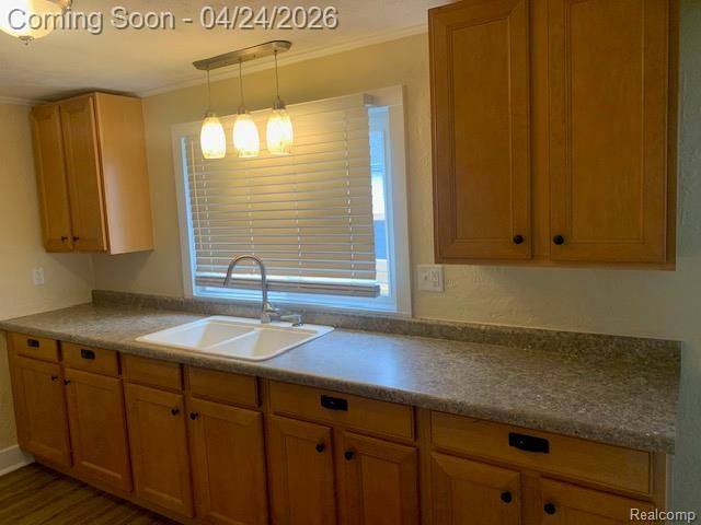 6378 GALE Road, Atlas Township, MI 48411