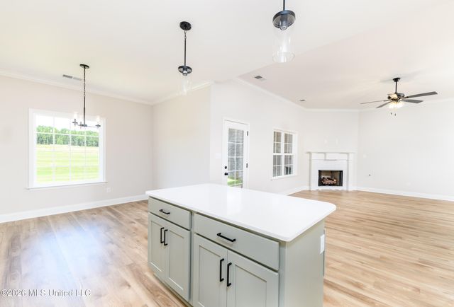 7608 John Elliott Lane, Hernando, MS 38632