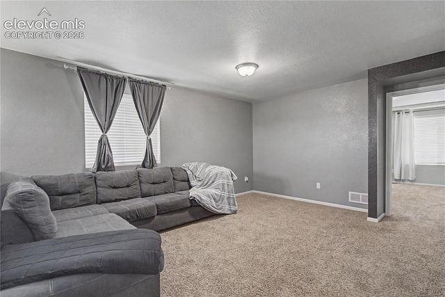 8355 Colorado Spruce Lane, Colorado Springs, CO 80927