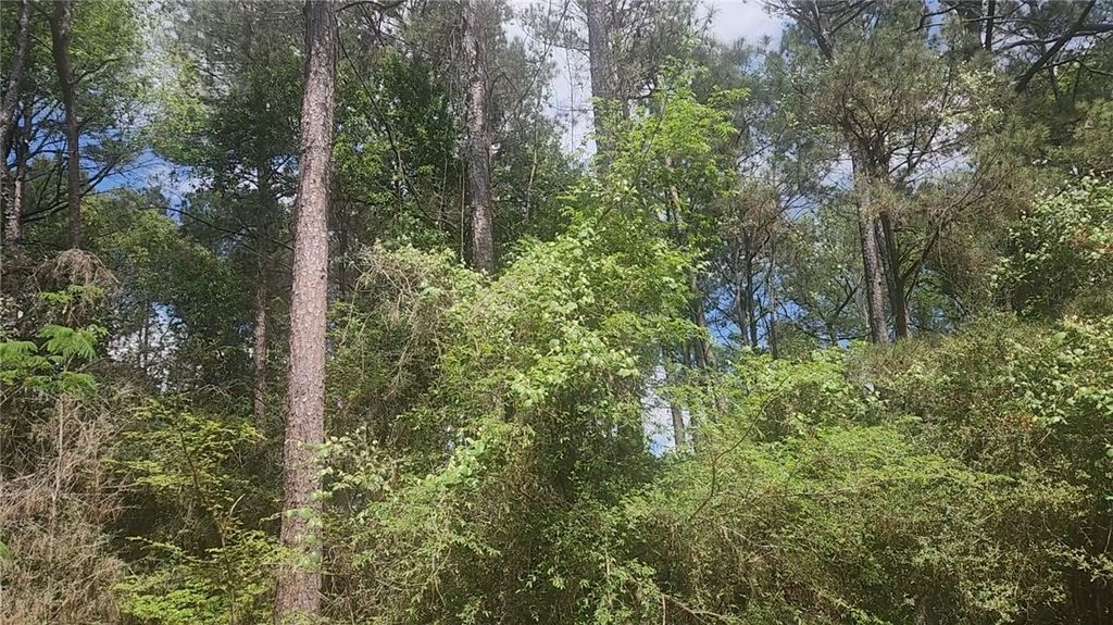 Lot 8 Soapberry Lane, Plantersville, TX 77363 — photo 3