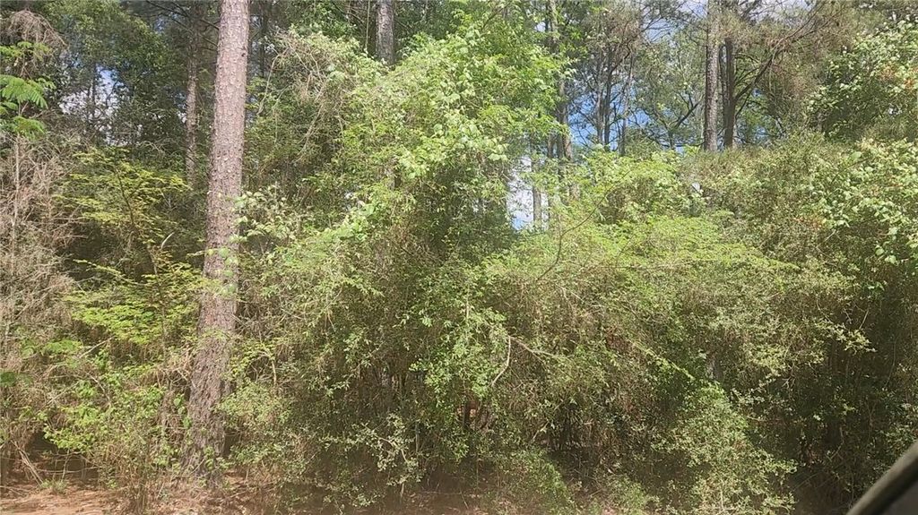 Lot 8 Soapberry Lane, Plantersville, TX 77363 — photo 4