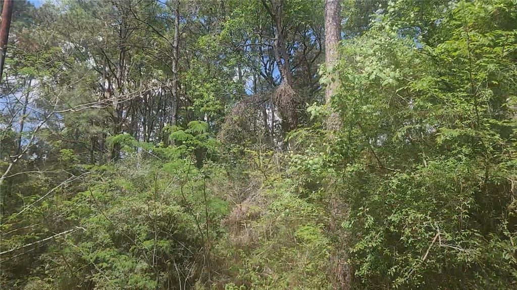 Lot 8 Soapberry Lane, Plantersville, TX 77363 — photo 5