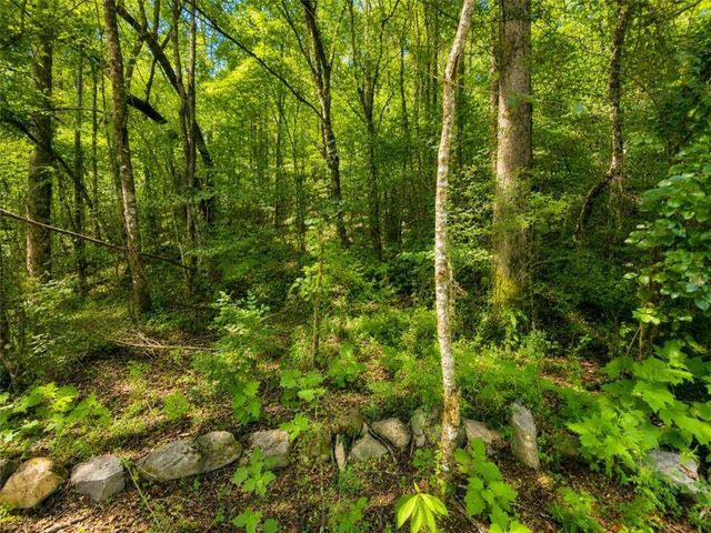 LT 8&9 Hidden Valley Trail, Ellijay, GA 30540