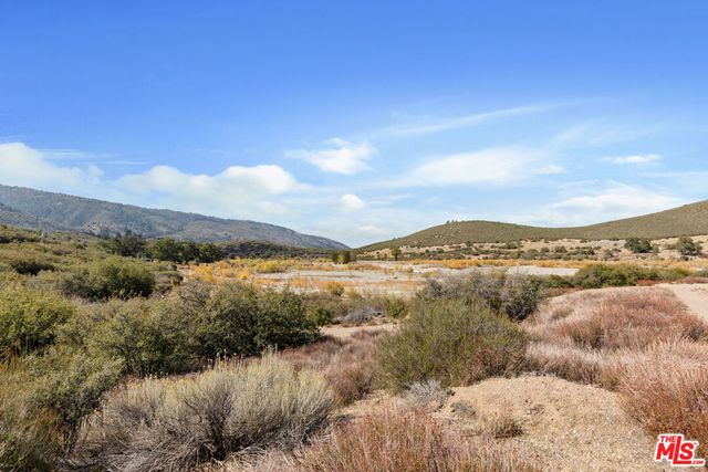 28765 Pine Canyon Road, Lake Hughes, CA 93532