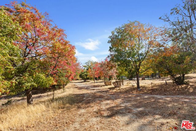 28765 Pine Canyon Road, Lake Hughes, CA 93532