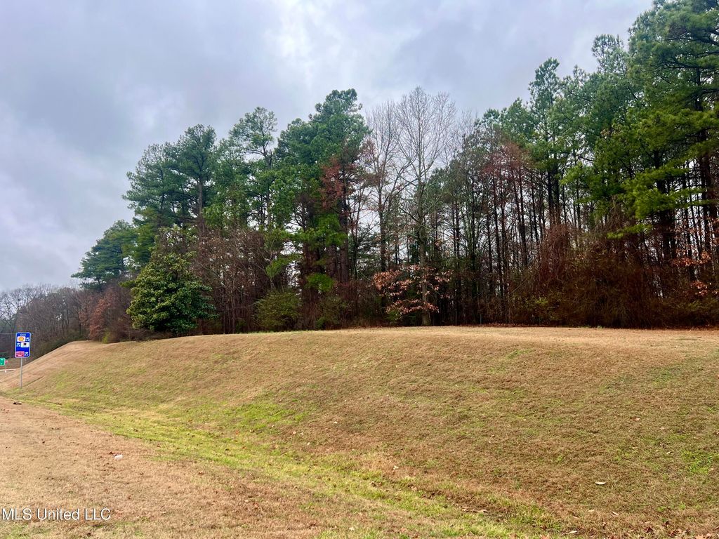 Old Hwy 51, Nesbit, MS 38651 — photo 2