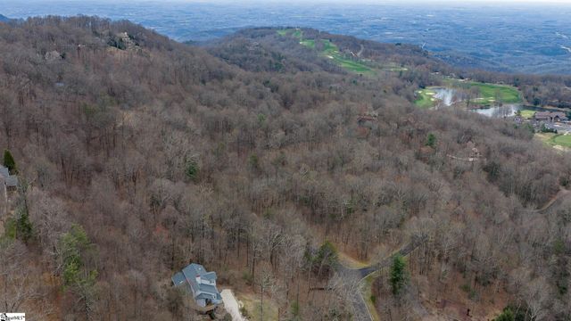 00 Indian Pipe Trail, Landrum, SC 29356