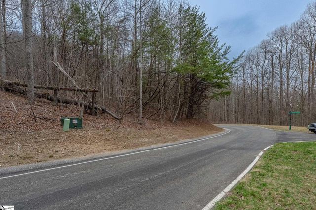 00 Indian Pipe Trail, Landrum, SC 29356