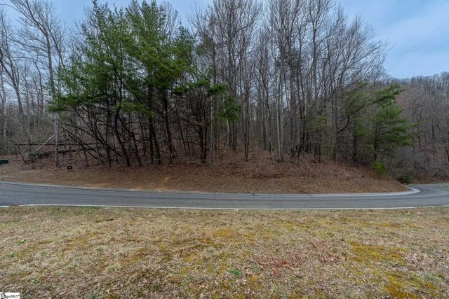 00 Indian Pipe Trail, Landrum, SC 29356