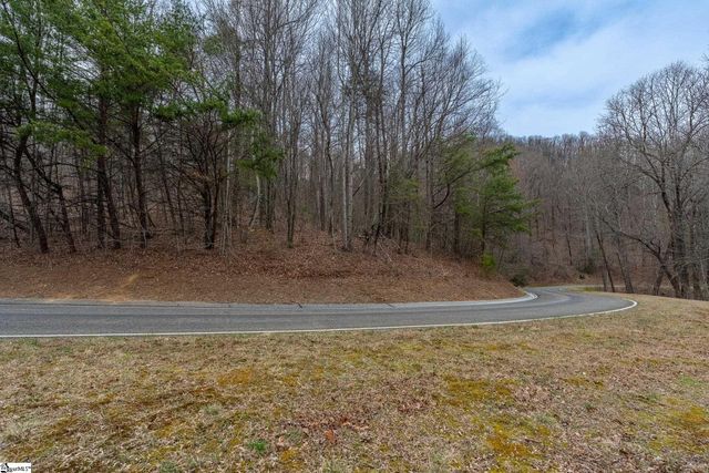 00 Indian Pipe Trail, Landrum, SC 29356