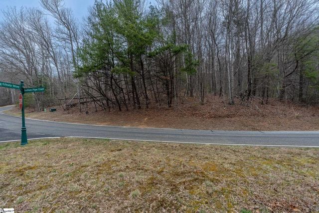 00 Indian Pipe Trail, Landrum, SC 29356