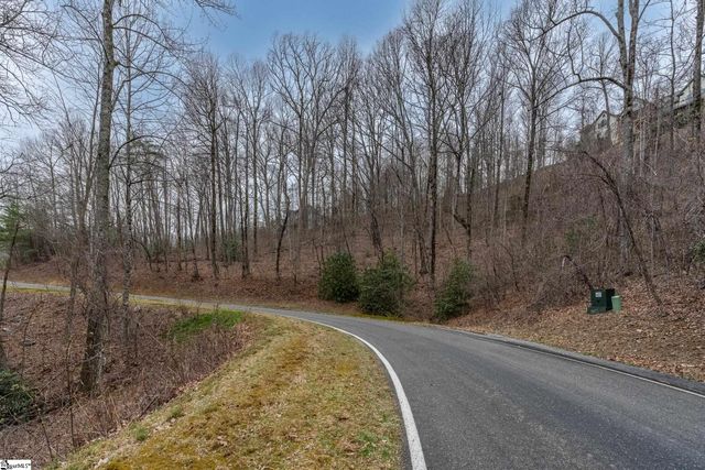 00 Indian Pipe Trail, Landrum, SC 29356