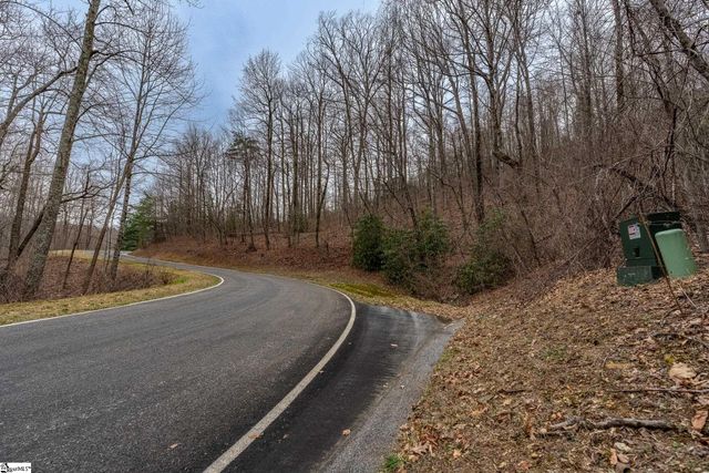 00 Indian Pipe Trail, Landrum, SC 29356