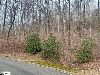 00 Indian Pipe Trail, Landrum, SC 29356