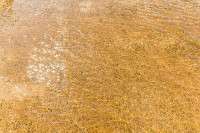 13908 Mission Park Drive, Merrifield, MN 56465