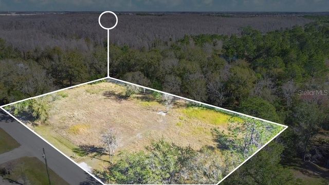 1426 SIERRA PINES BOULEVARD, Lutz, FL 33558