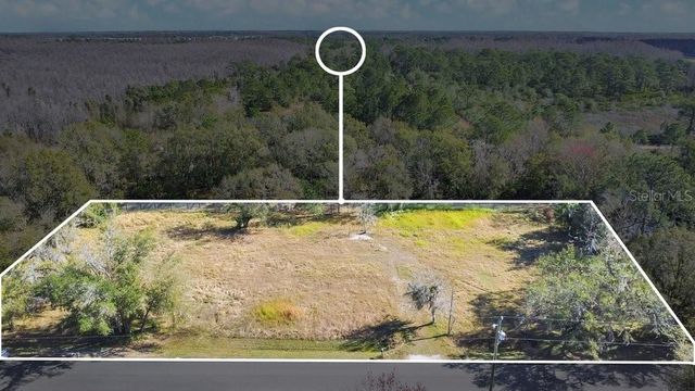 1426 SIERRA PINES BOULEVARD, Lutz, FL 33558