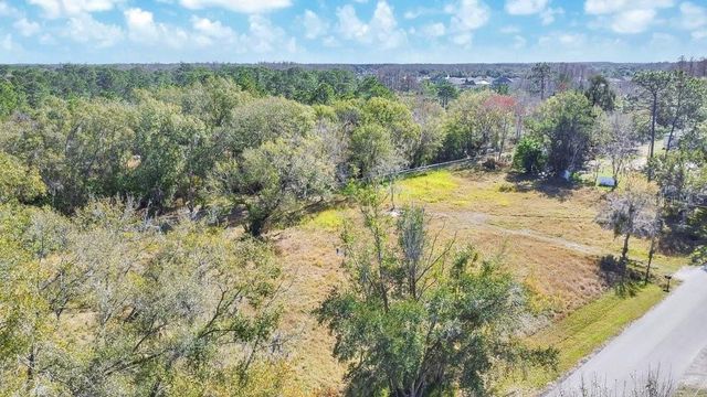 1426 SIERRA PINES BOULEVARD, Lutz, FL 33558