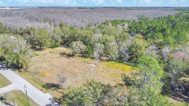 1426 SIERRA PINES BOULEVARD, Lutz, FL 33558