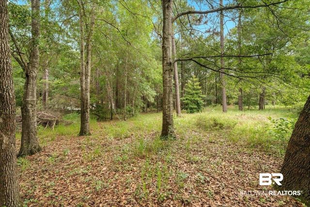 12030 Oakdale Avenue, Grand Bay, AL 36541