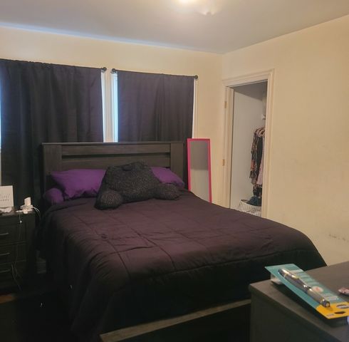 9601 S Princeton Avenue, Chicago, IL 60628