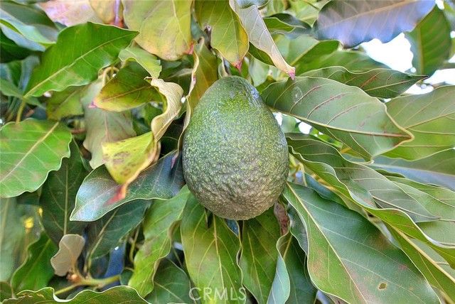 12711 Tunstall, Garden Grove, CA 92845