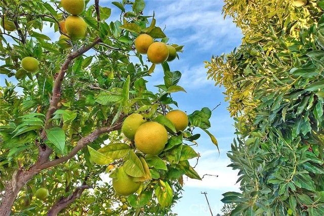 12711 Tunstall, Garden Grove, CA 92845