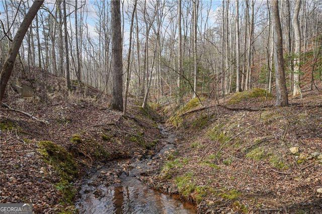 50 Old Stamp Mill Road, Dahlonega, GA 30533