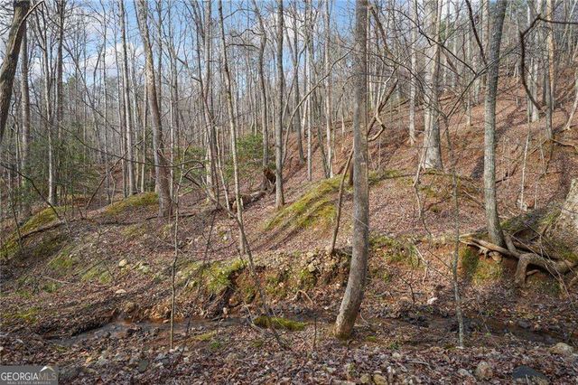50 Old Stamp Mill Road, Dahlonega, GA 30533