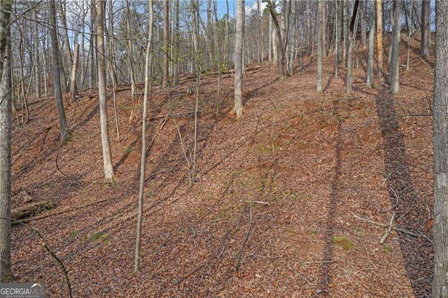 50 Old Stamp Mill Road, Dahlonega, GA 30533