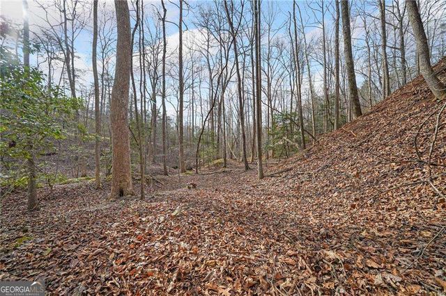 50 Old Stamp Mill Road, Dahlonega, GA 30533