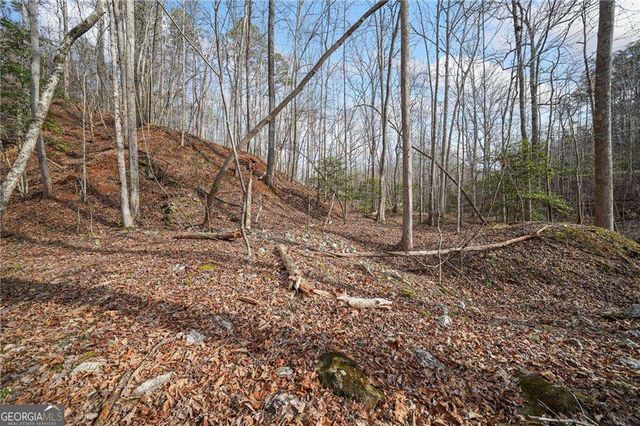 50 Old Stamp Mill Road, Dahlonega, GA 30533