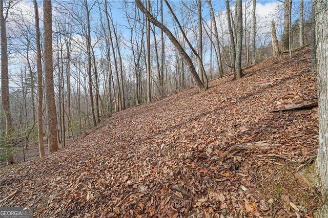 50 Old Stamp Mill Road, Dahlonega, GA 30533