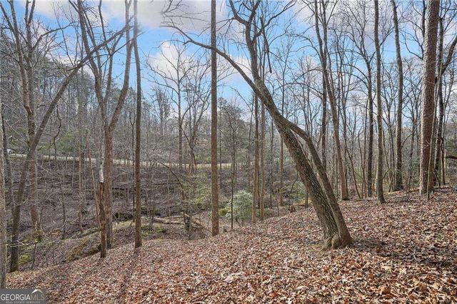 50 Old Stamp Mill Road, Dahlonega, GA 30533