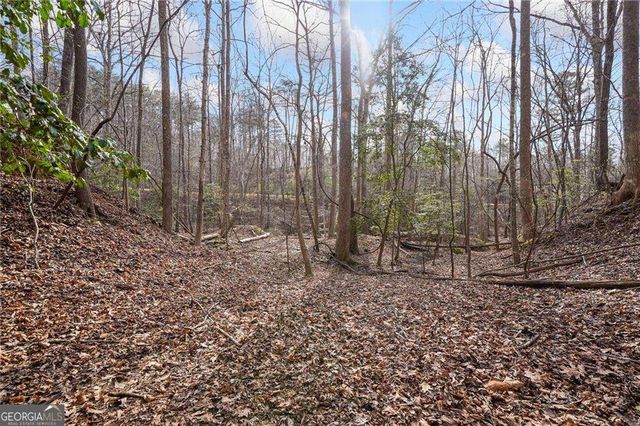 50 Old Stamp Mill Road, Dahlonega, GA 30533