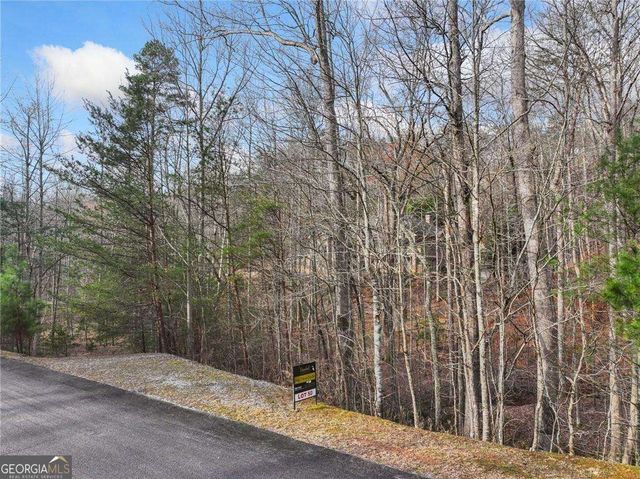 50 Old Stamp Mill Road, Dahlonega, GA 30533