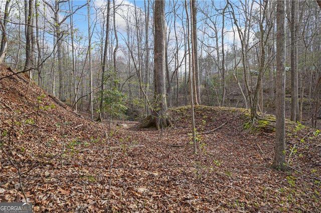 50 Old Stamp Mill Road, Dahlonega, GA 30533