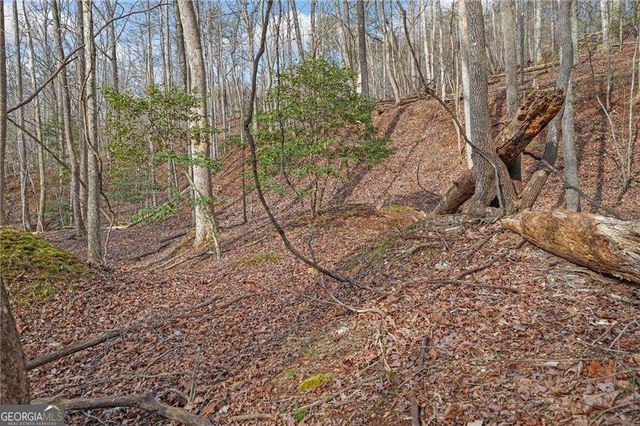50 Old Stamp Mill Road, Dahlonega, GA 30533