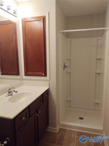 208 Falling Water Lane, Madison, AL 35756