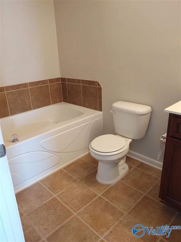 208 Falling Water Lane, Madison, AL 35756