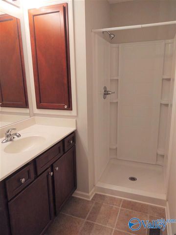 208 Falling Water Lane, Madison, AL 35756