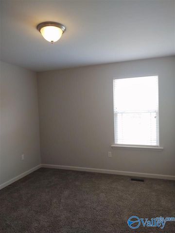 208 Falling Water Lane, Madison, AL 35756
