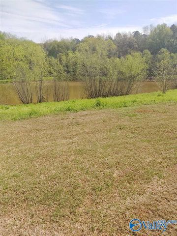 208 Falling Water Lane, Madison, AL 35756