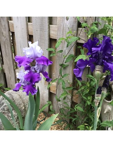 6100 Torrington Road, Kalamazoo, MI 49009