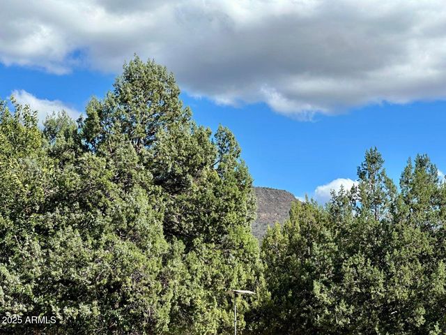 4230 N AZ HIGHWAY 87 --, Pine, AZ 85544