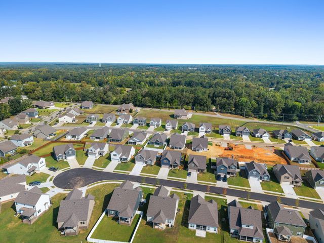 7014 Sully Ct, Fairview, TN 37062