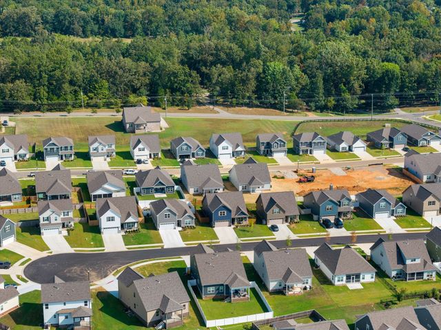 7014 Sully Ct, Fairview, TN 37062