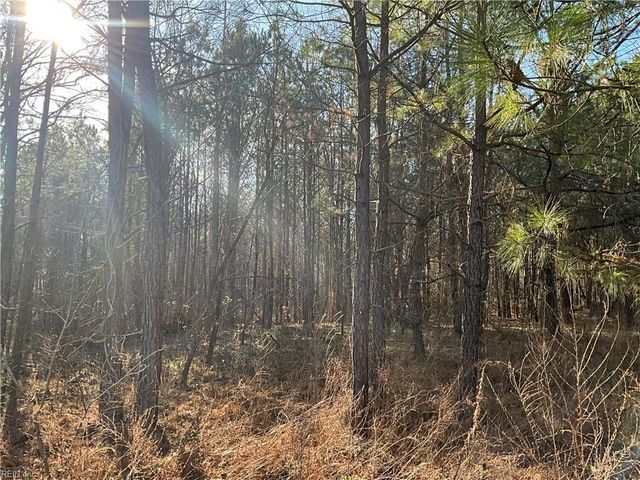 17.4AC Salem Wood RD, Gloucester, VA 23061