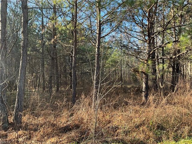 17.4AC Salem Wood RD, Gloucester, VA 23061