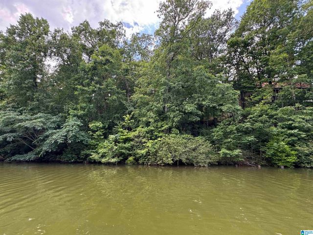 Lot 10 COUNTY ROAD 2565, Wedowee, AL 36278